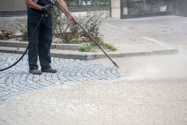 Best Roof Washing  in Coarsegold, CA